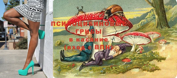 тгк Рославль