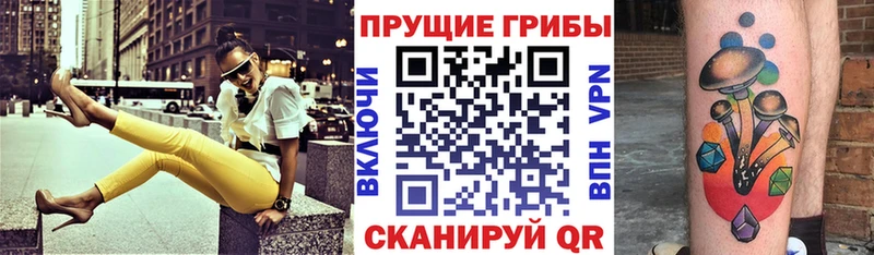 Псилоцибиновые грибы Psilocybe  где продают   Абаза 