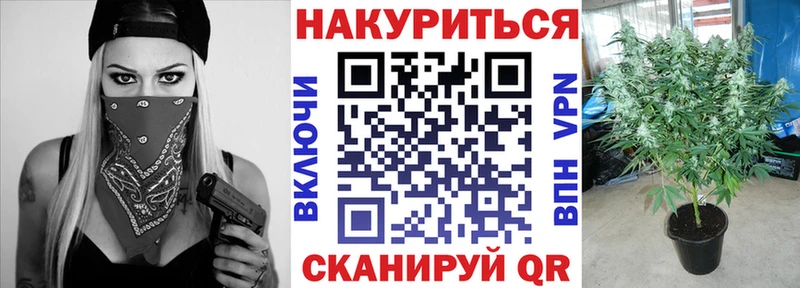 darknet какой сайт  наркотики  Абаза  Канабис SATIVA & INDICA 